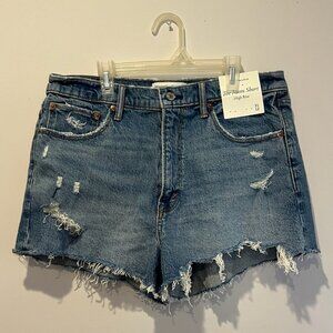 31 Abercrombie and Fitch Mom Short High Rise
